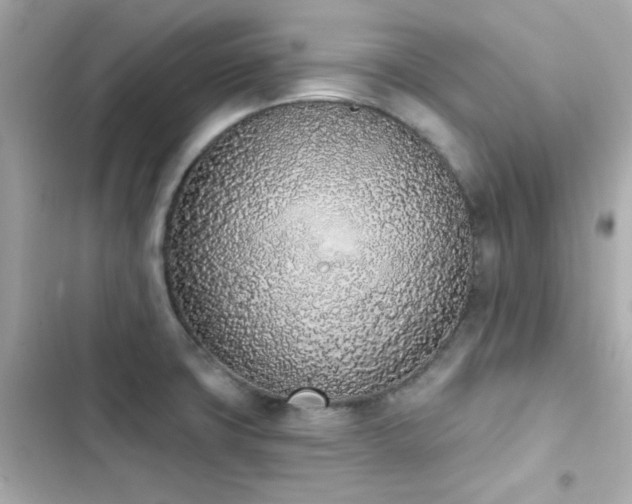 X0000103931427200809191339