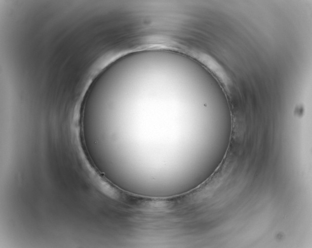 X0000103931431200809191339