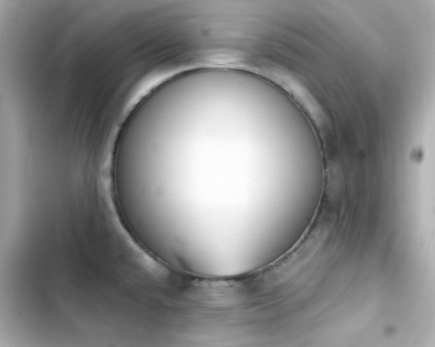 X0000103931432200809191339