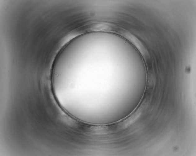 X0000103931434200809191339