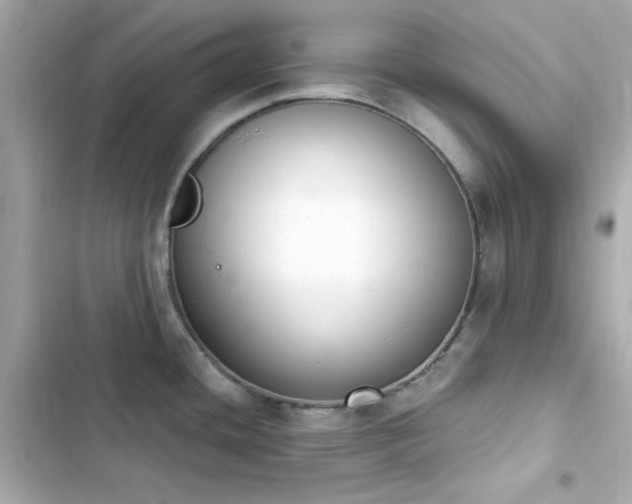 X0000103931436200809191339
