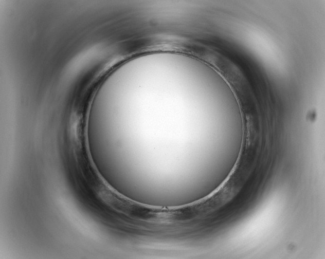 X0000103931438200809191339