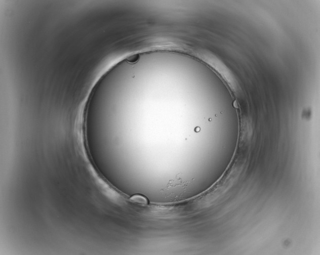 X0000103931439200809191339