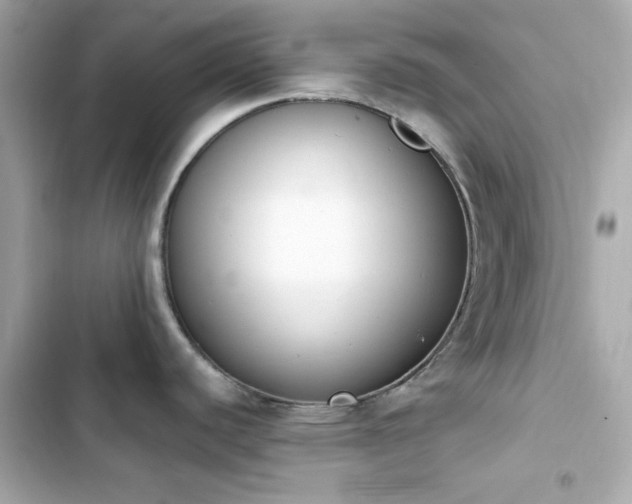 X0000103931440200809191339