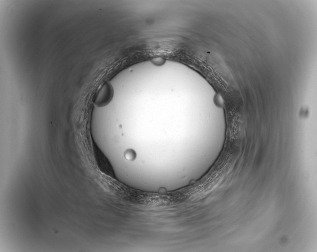 X0000103931441200809191339