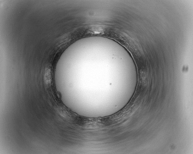 X0000103931442200809191339