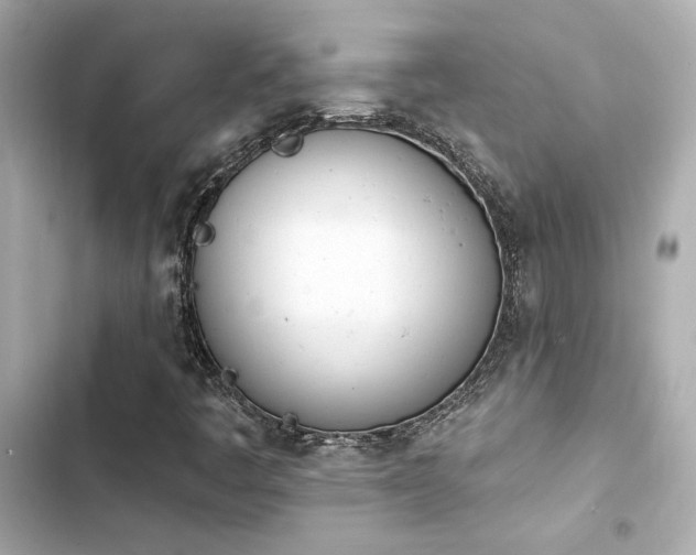 X0000103931445200809191339