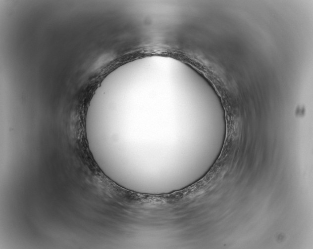 X0000103931446200809191339