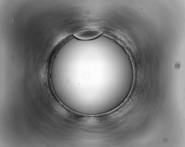 X0000103931450200809191339