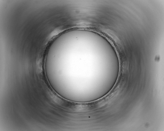 X0000103931451200809191339