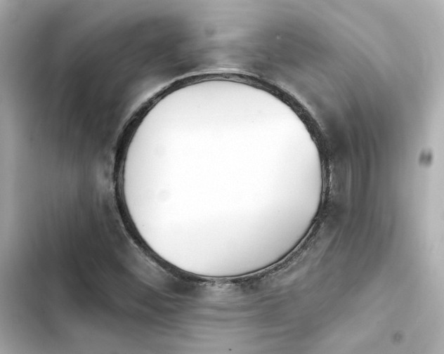 X0000103931452200809191339