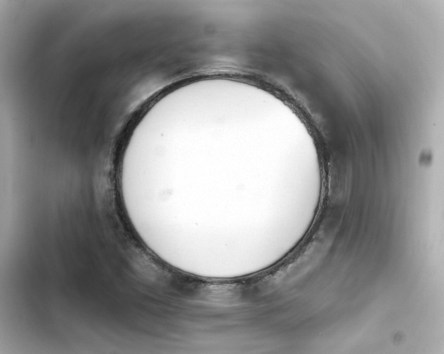 X0000103931453200809191338