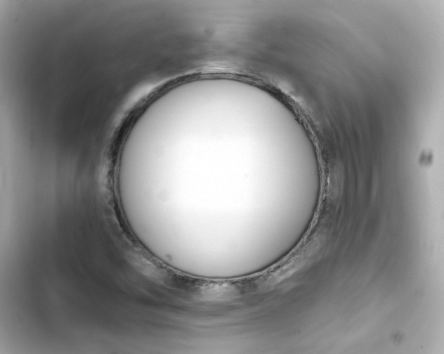 X0000103931454200809191338