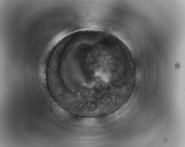 X0000103931455200809191338