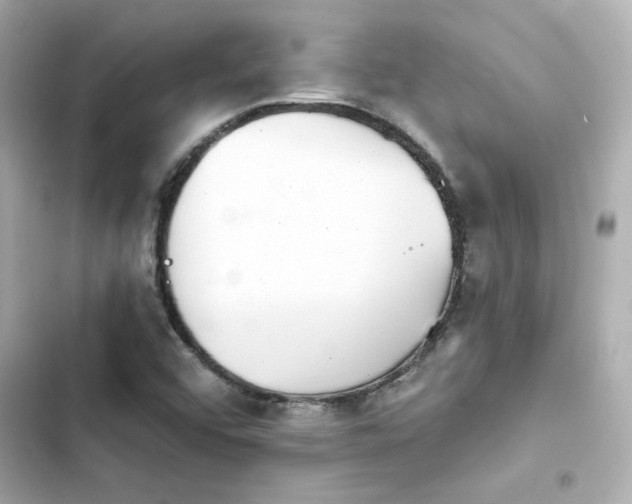 X0000103931456200809191338