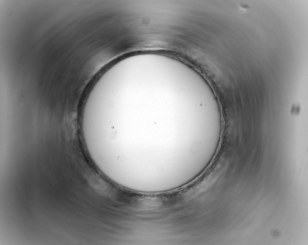 X0000103931457200809191338