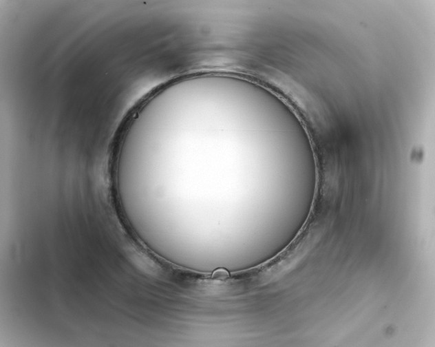 X0000103931458200809191338