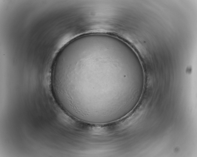 X0000103931459200809191338