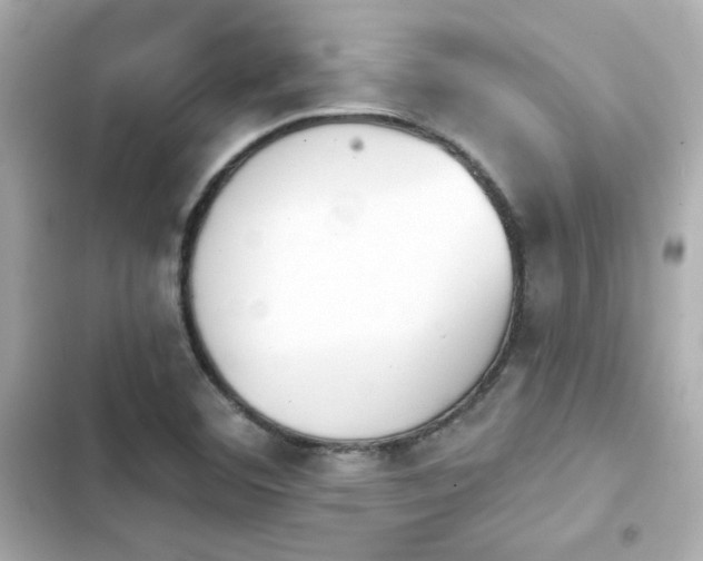 X0000103931460200809191338