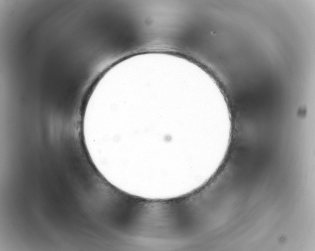 X0000103931461200809191338
