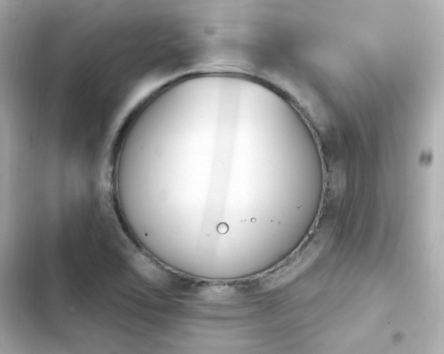 X0000103931462200809191338