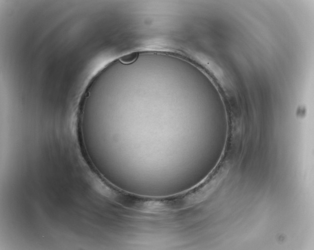 X0000103931463200809191338