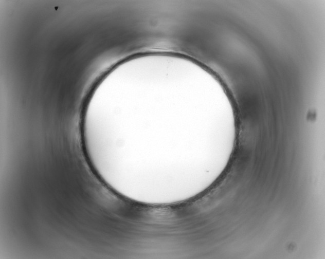 X0000103931464200809191338