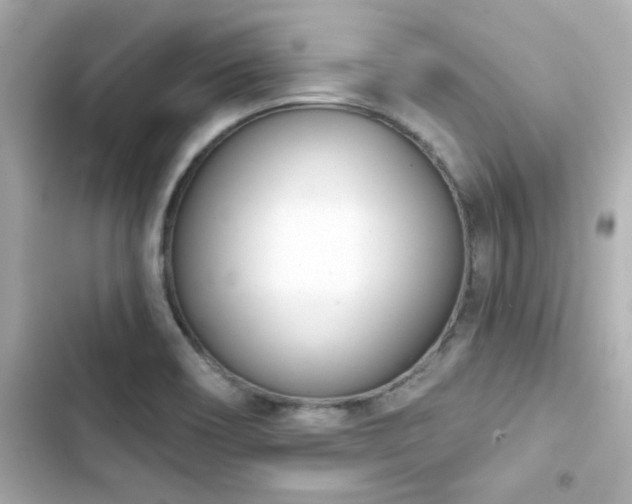 X0000103931466200809191338