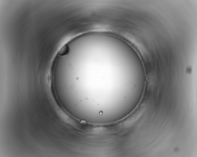 X0000103931467200809191338
