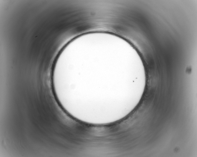 X0000103931468200809191338
