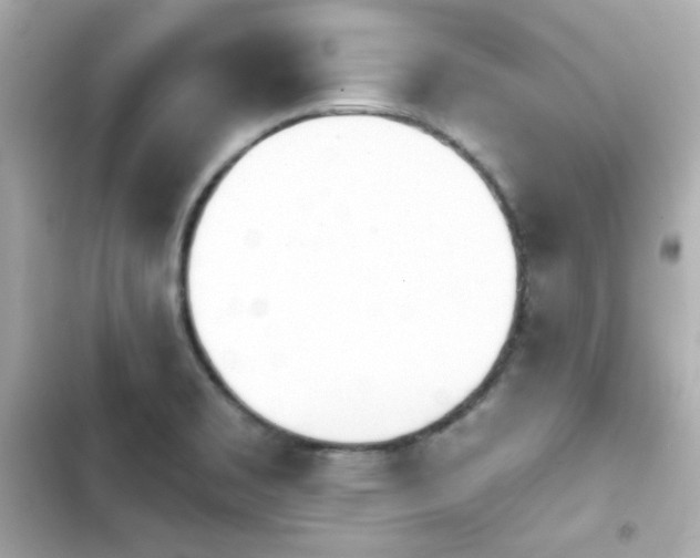 X0000103931469200809191338