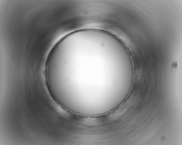 X0000103931470200809191338