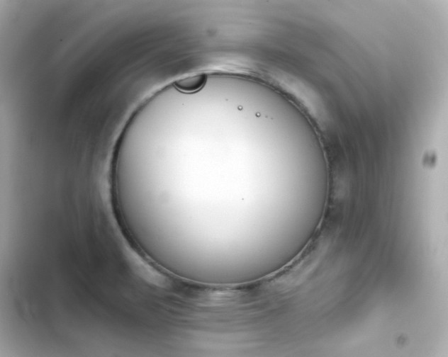 X0000103931471200809191338