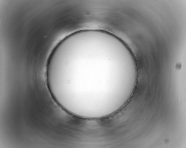 X0000103931472200809191338