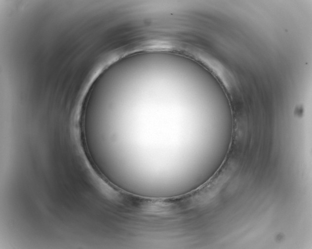 X0000103931475200809191338