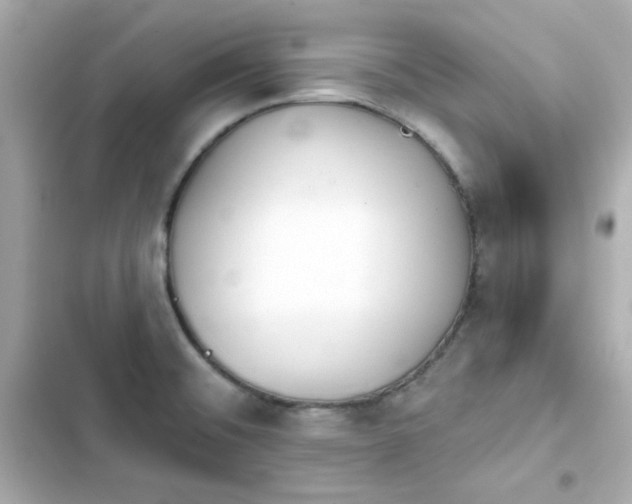 X0000103931476200809191338