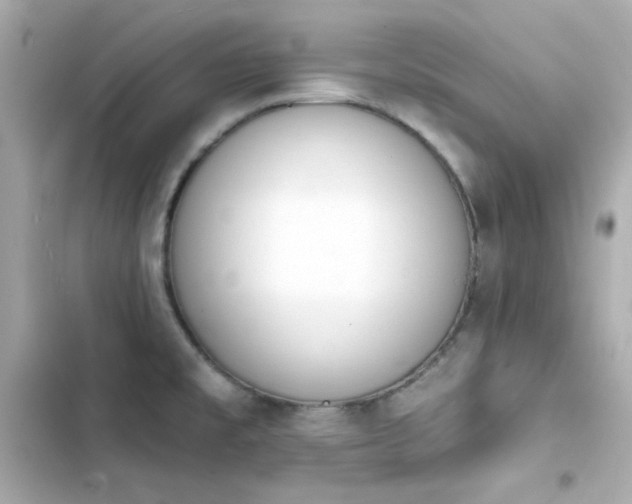 X0000103931477200809191338