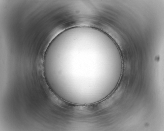X0000103931481200809191338
