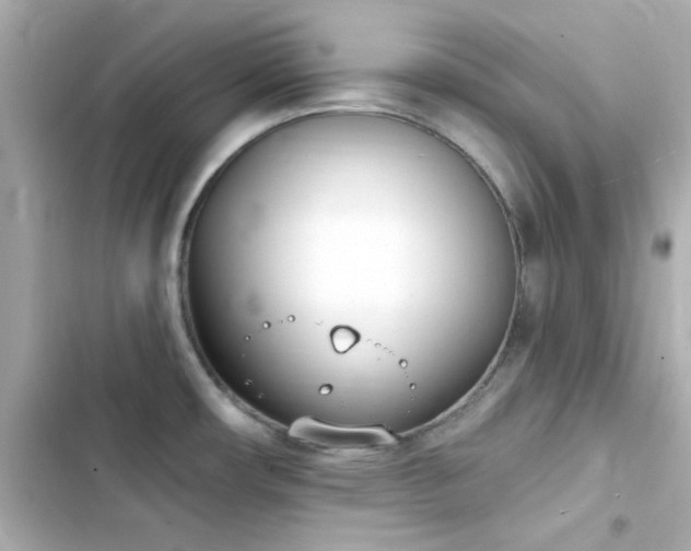 X0000103931482200809191338