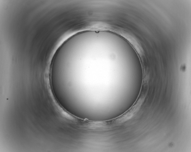 X0000103931486200809191338