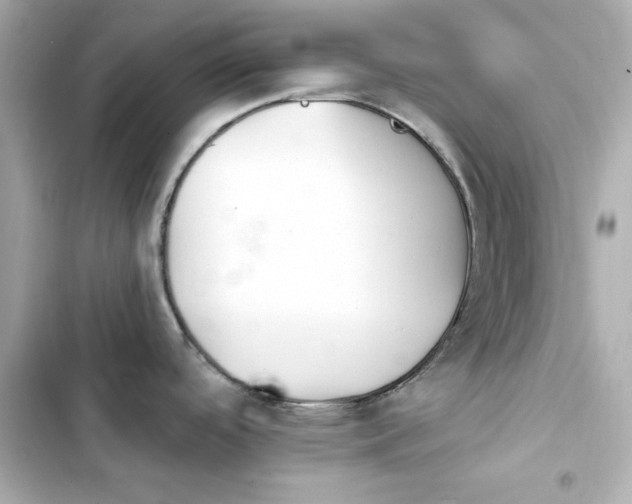 X0000103931488200809191338
