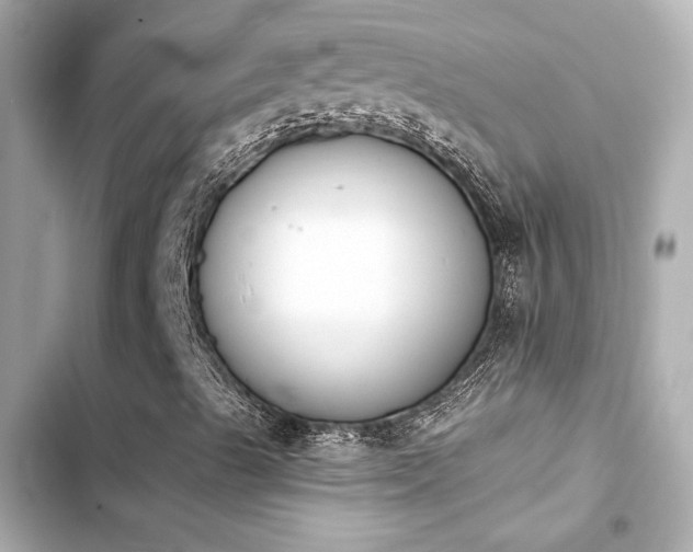 X0000103931489200809191337