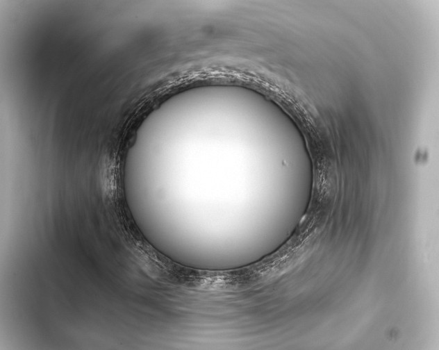 X0000103931490200809191337