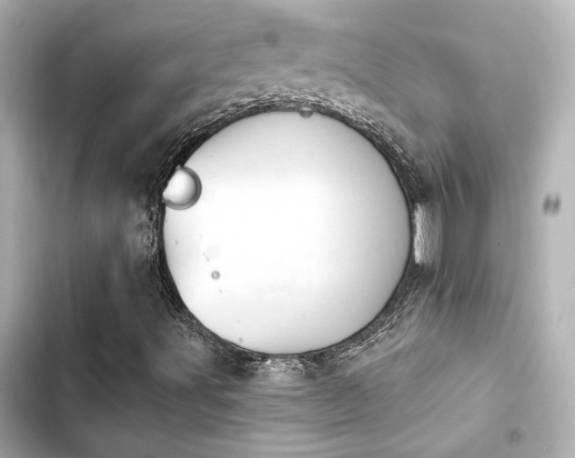 X0000103931491200809191337