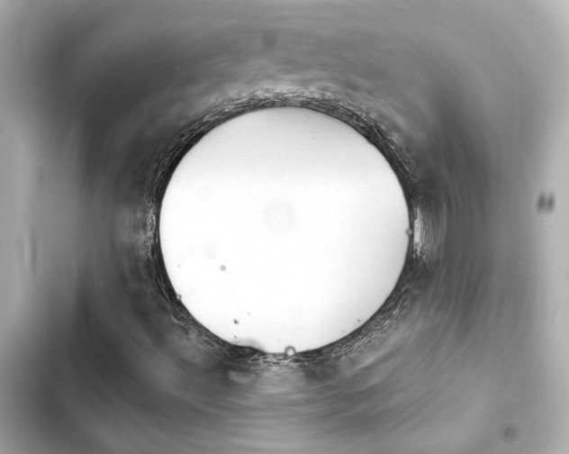 X0000103931492200809191337