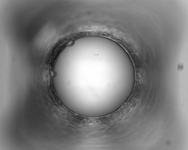X0000103931493200809191337