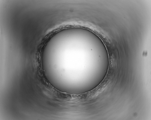 X0000103931494200809191337