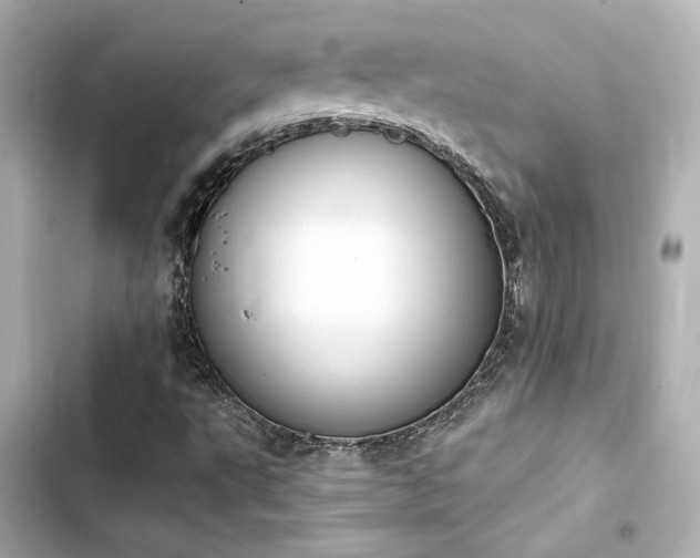 X0000103931495200809191337