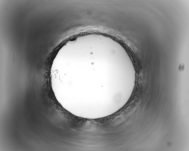 X0000103931496200809191337