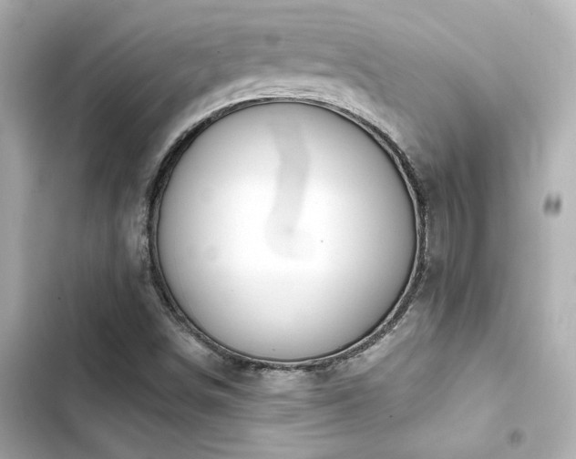 X0000103931498200809191337
